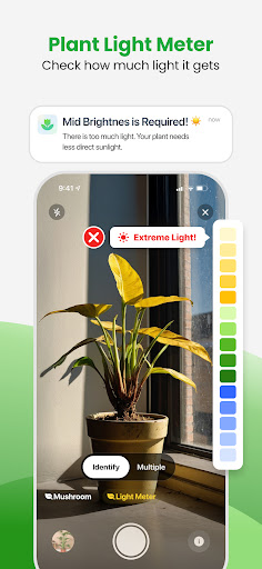 Plant App - Plant Identifier
