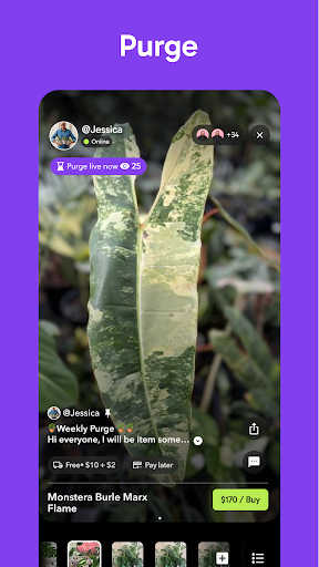 Palmstreet: Buy & Sell LIVE