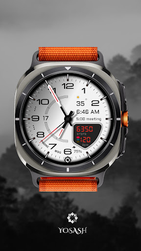 D355 Premium Watch Face