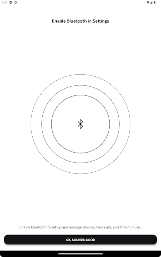 Bose QC Earbuds
