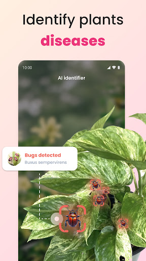 PlantIn Plant Identifier, Care