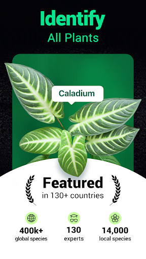 Plantum - Plant Identifier
