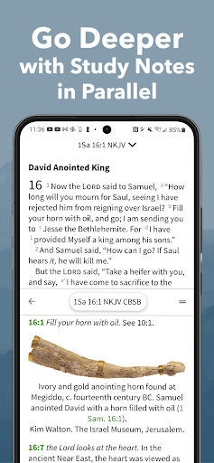 Bible App by Olive Tree