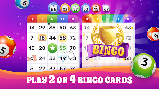 Bingo Lotto: Win Lucky Number